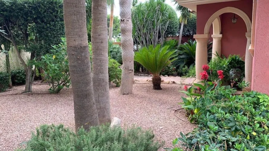 Apartamento de 3 dormitorios en Galera de las Palmeras, Spain No. 512 № 11