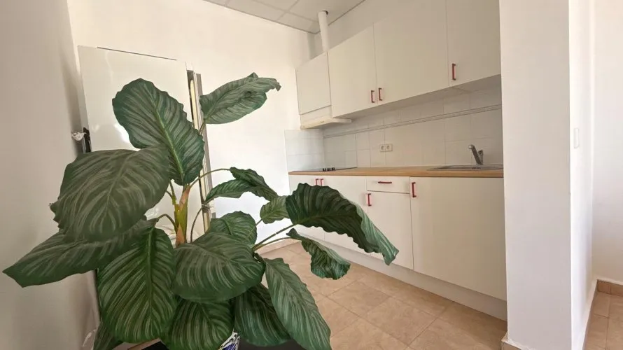 Villa de 384m² en Calpe, Spain No. 153 № 8
