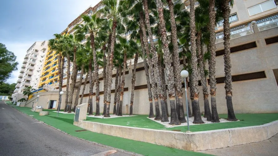 Ático de 2 dormitorios en Dehesa De Campoamor, Spain No. 1074 № 28