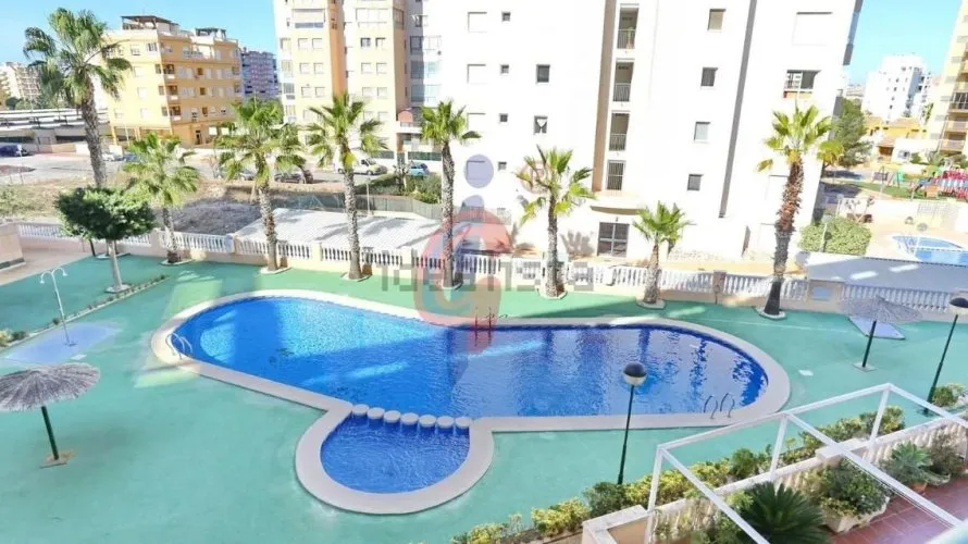 Ático de 4 dormitorios en Guardamar del Segura, Spain No. 1091 № 4