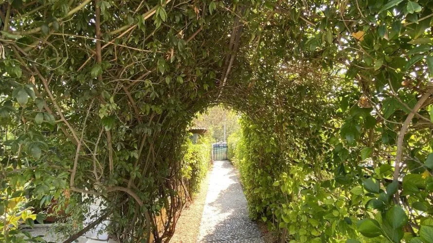 Villa de 4 dormitorios en L'Alfàs del Pi, Spain No. 452 № 12