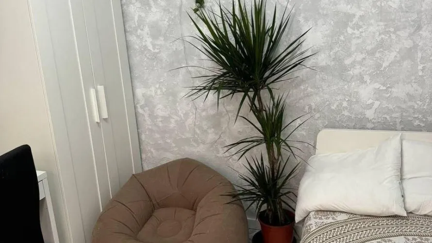 Apartamento de 1 dormitorio en Mislata, Spain No. 1121 № 2