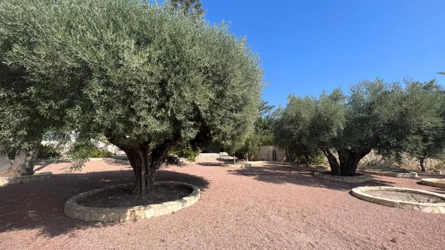 Villa de 236m² en Rojales, Spain No. 1304 № 5