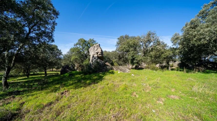 Сasa de 8 dormitorios en Colmenarejo, Spain No. 1396 № 13