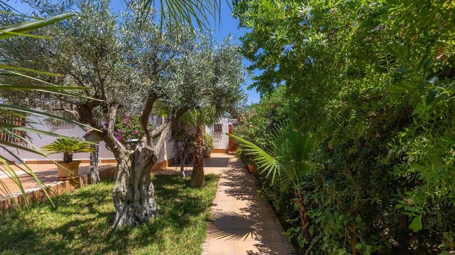 Villa de 4 dormitorios en Alicante, Spain No. 746 № 18