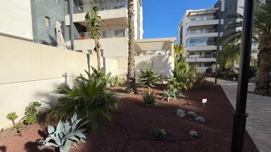 Apartamento de 3 dormitorios en Los Dolses, Spain No. 1202 № 4