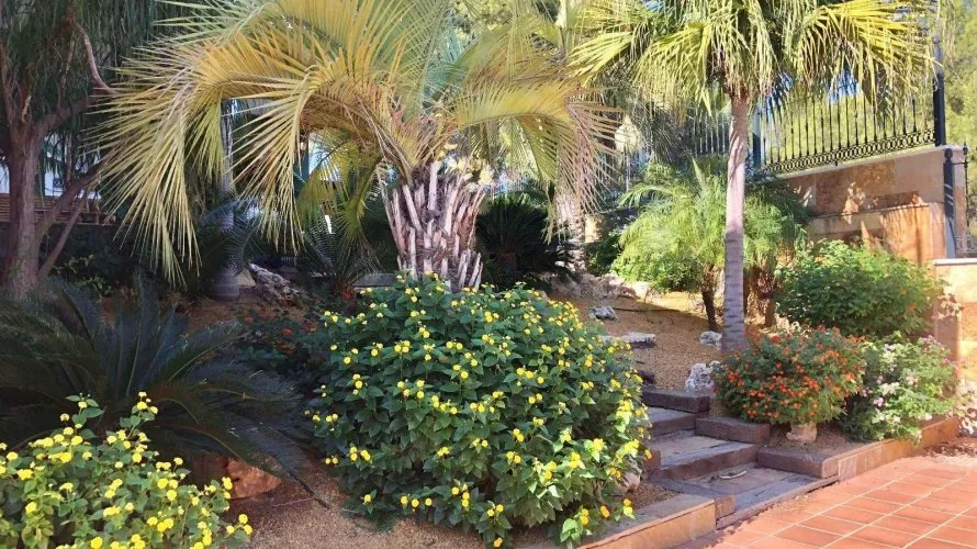 Villa de 6 dormitorios en El Palmar, Spain No. 1217 № 8