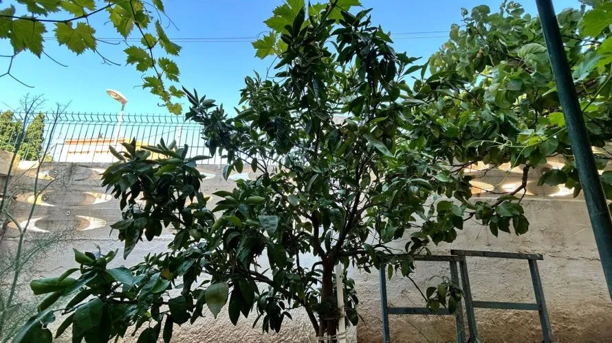 Apartamento de 4 dormitorios en La Nucia, Spain No. 1342 № 11