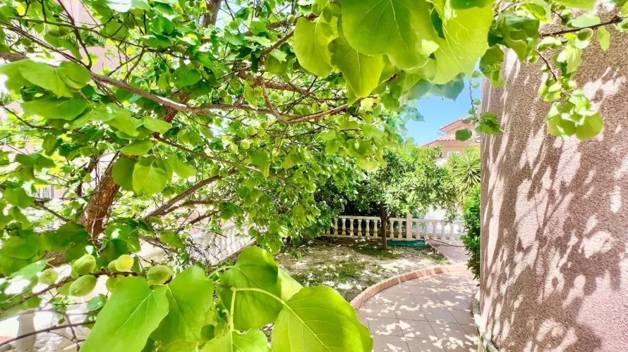 Villa de 3 dormitorios en Torrevieja, Spain No. 120 № 18