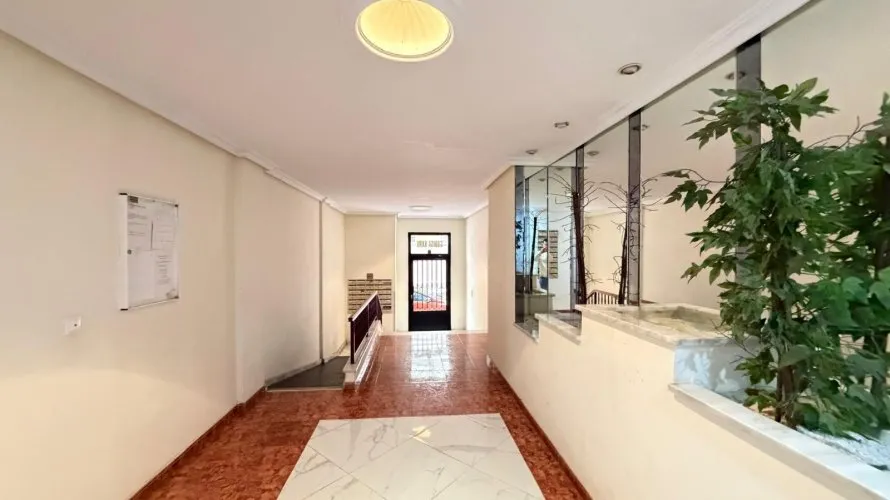 Apartamento de 1 dormitorio en Torrevieja, Spain No. 2728