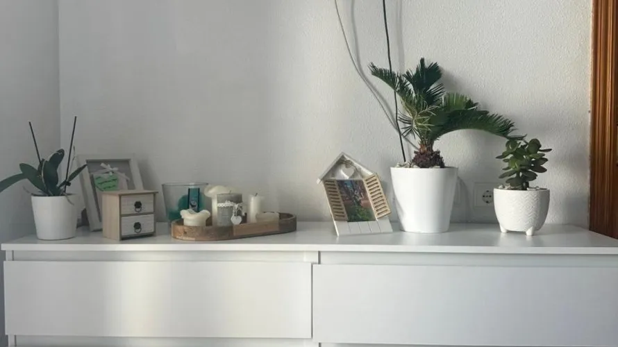 Apartamento de 1 dormitorio en Torrevieja, Spain No. 2744 № 2