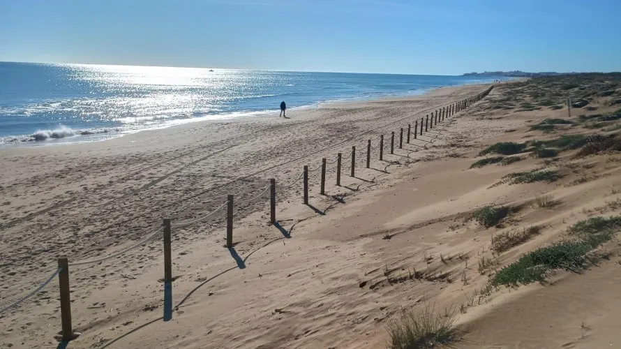 Apartamento de 2 dormitorios en Guardamar del Segura, Spain No. 2819