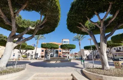 Apartamento de 1 dormitorio en San Fulgencio, Spain No. 2800