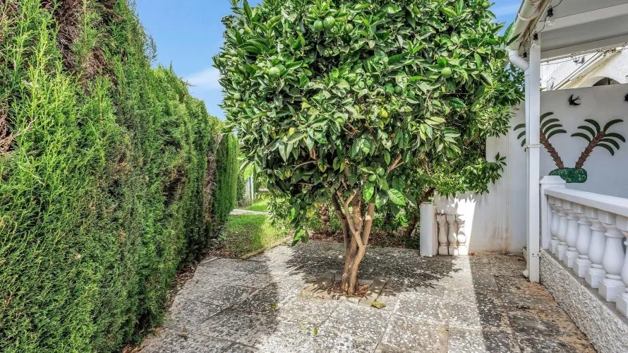 Сasa de 42m² en Alicante, Spain No. 3025 № 25
