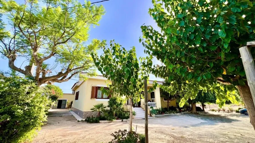 Villa de 3 dormitorios en Daya Vieja, Spain No. 3108 № 22