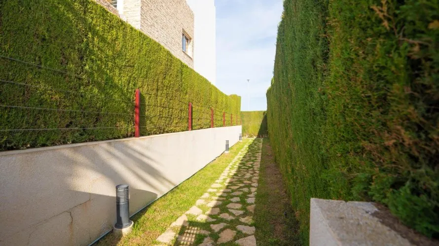 Penthouse de 2 chambres à Alicante, Spain No. 1210 № 3