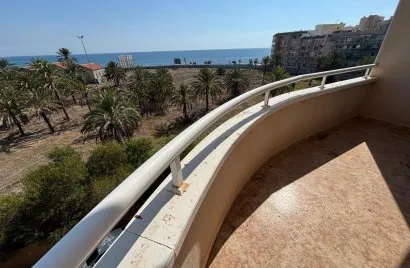Apartment de 1 chambre à Torrevieja, Spain No. 233