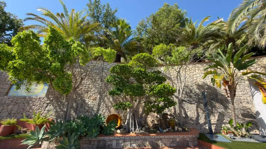 Villa de 4 chambres à La Pedrera, Spain No. 1398 № 7