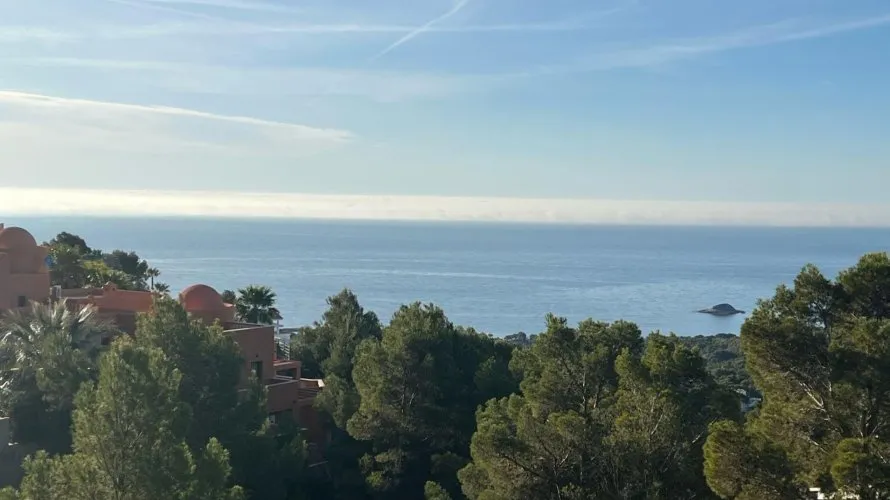 Villa de 5 chambres à Zona Altea Hills, Spain No. 873 № 4