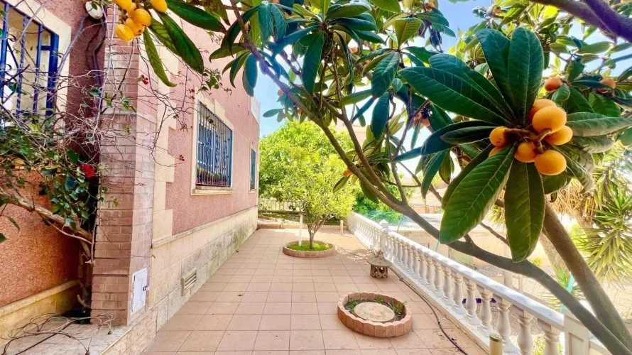 Villa de 3 chambres à Torrevieja, Spain No. 120 № 21