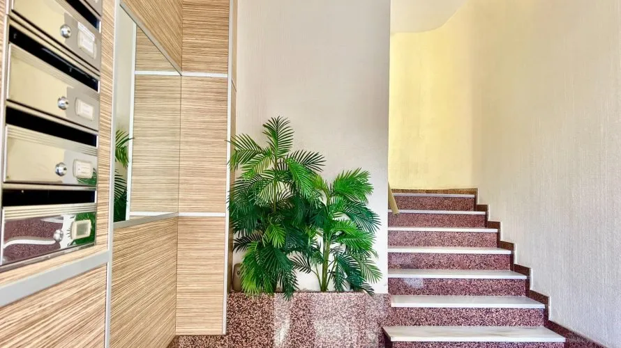 Apartment de 3 chambres à Torrevieja, Spain No. 156 № 4