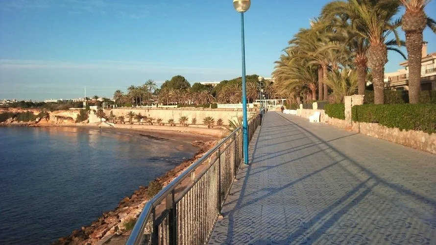 Villa de 4 chambres à Torrevieja, Spain No. 442 № 11