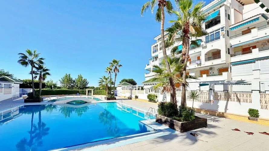 Apartment de 1 chambre à Torrevieja, Spain No. 1021 № 12