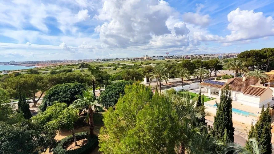 Apartment de 2 chambres à Torrevieja, Spain No. 1030 № 3