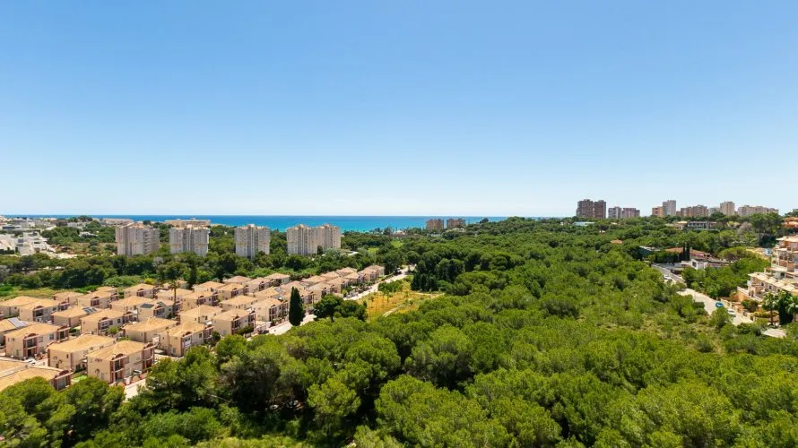 Apartment de 65m² à Dehesa De Campoamor, Spain No. 885 № 28