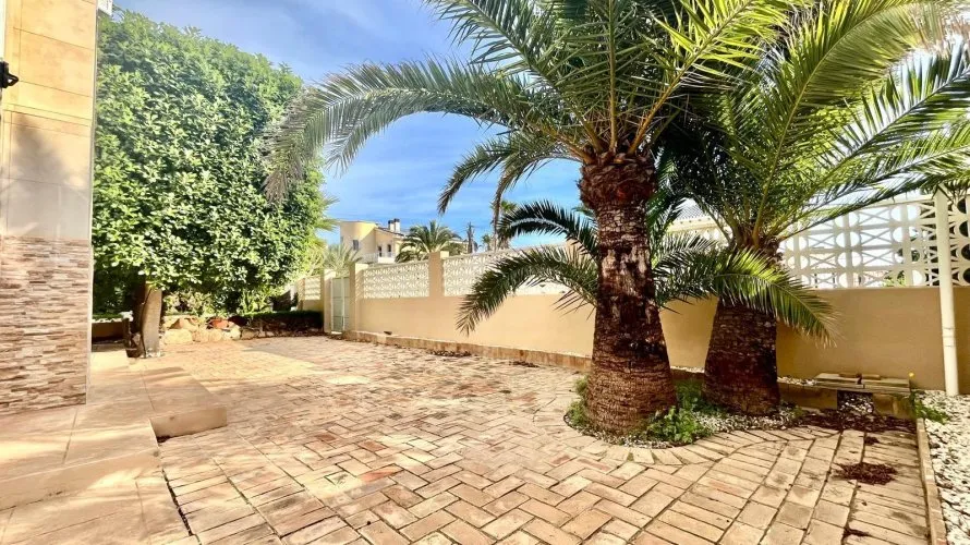 Villa de 4 chambres à Torrevieja, Spain No. 229 № 11