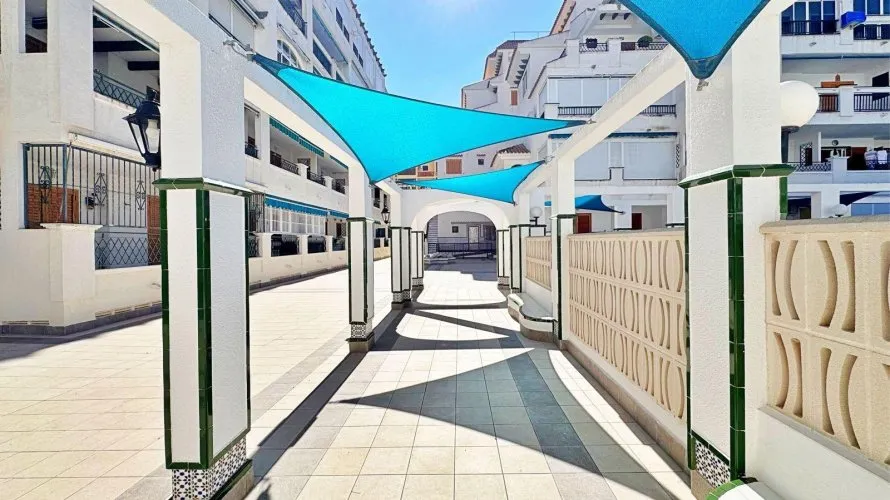 Apartment de 1 chambre à Torrevieja, Spain No. 1021 № 13