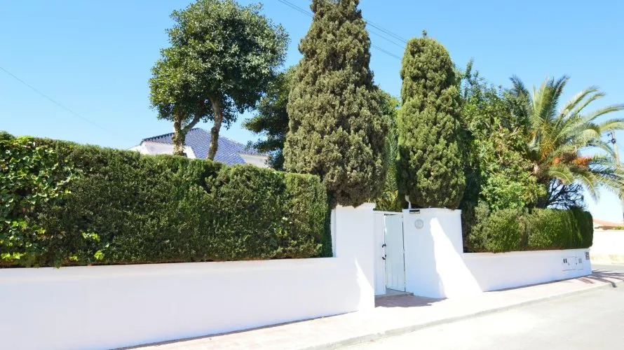 Villa de 4 chambres à Torrevieja, Spain No. 113 № 5