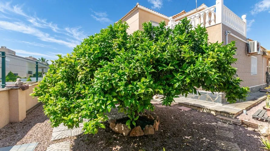 Villa de 158m² à Cabo Roig, Spain No. 1166 № 19