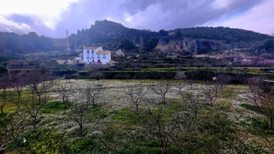 House de 7 chambres à Guadalest, Spain No. 1199 № 26