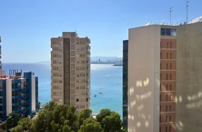 Apartment de 3 chambres à Benidorm, Spain No. 1347
