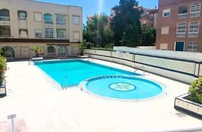 Apartment de 2 chambres à Torrevieja, Spain No. 2741