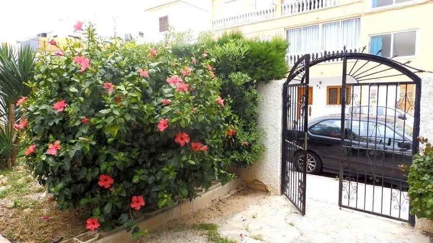 Apartment de 51m² à Torrevieja, Spain No. 2693 № 2