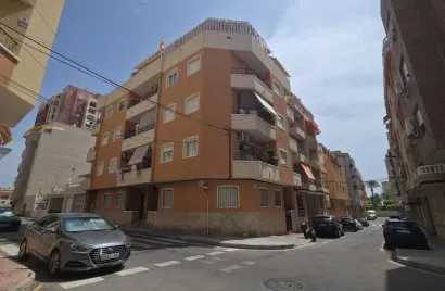 Apartment de 1 chambre à Torrevieja, Spain No. 2950