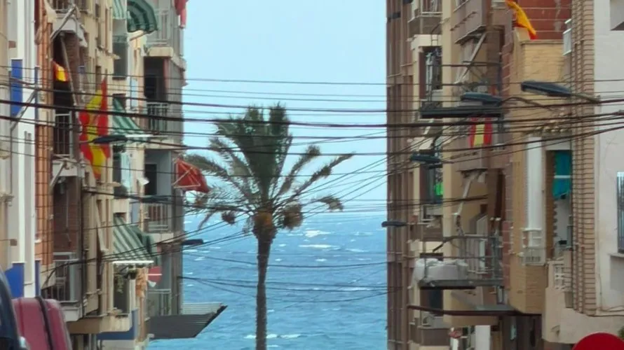 Apartment de 1 chambre à Torrevieja, Spain No. 3228 № 24