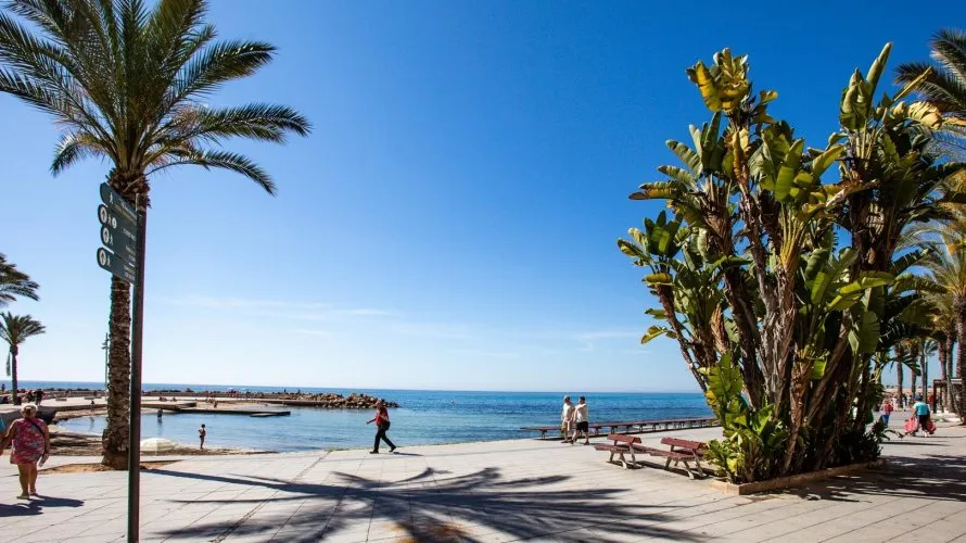 Apartment de 24m² à Torrevieja, Spain No. 3147 № 4