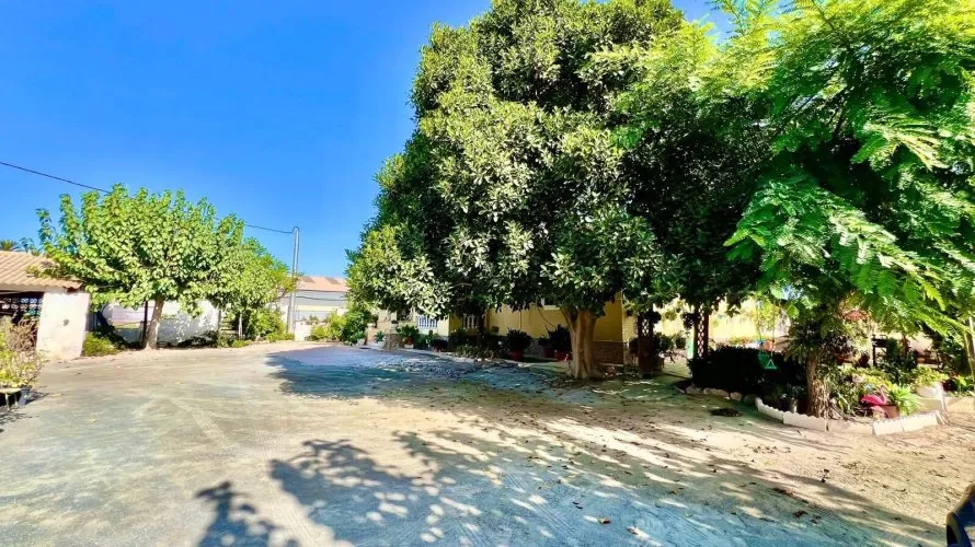 Villa de 3 chambres à Daya Vieja, Spain No. 3108 № 24