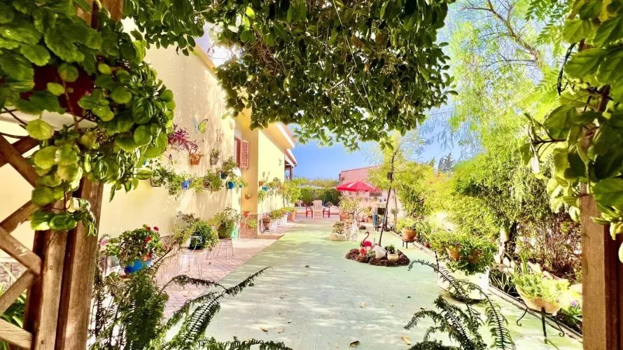 Villa de 3 chambres à Daya Vieja, Spain No. 3108 № 9