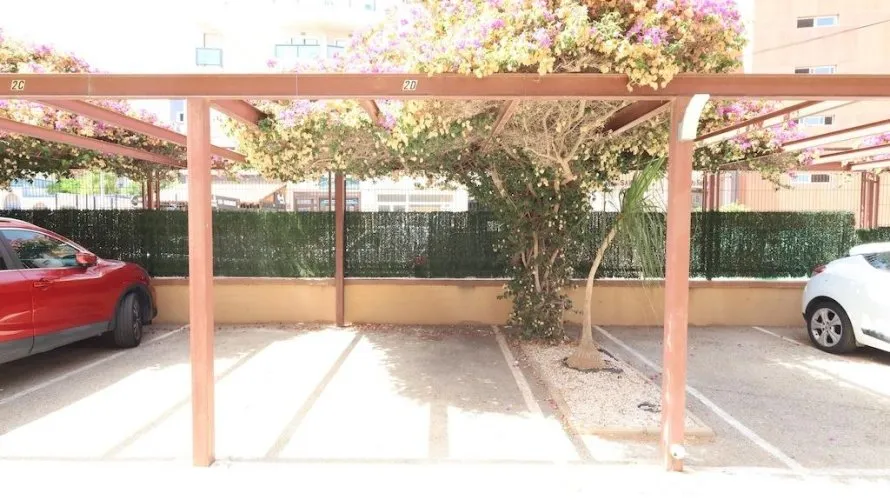 Apartment de 2 chambres à Alicante, Spain No. 3090 № 2