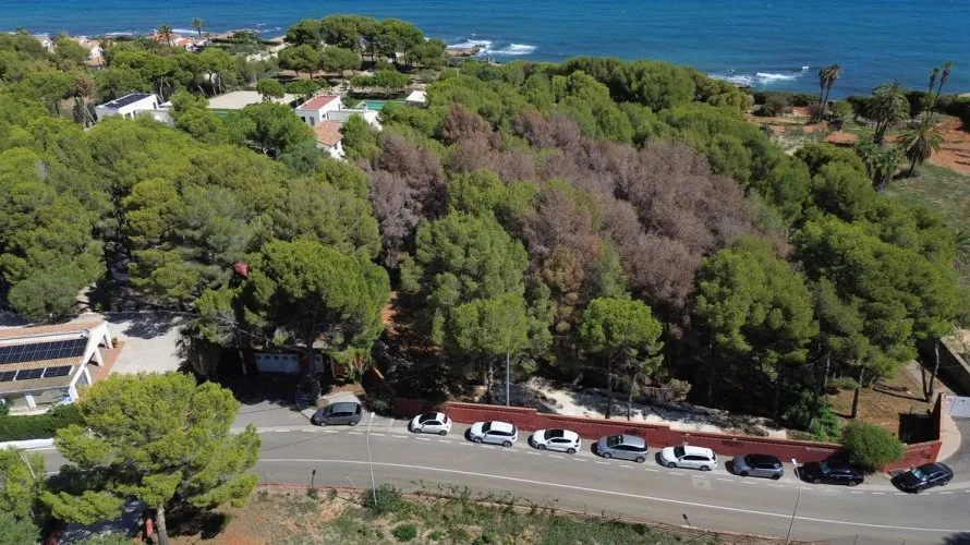 Villa de 330m² à Calasparra, Spain No. 3283 № 27