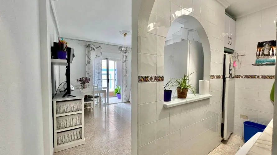 Apartment de 1 chambre à Torrevieja, Spain No. 3211 № 19