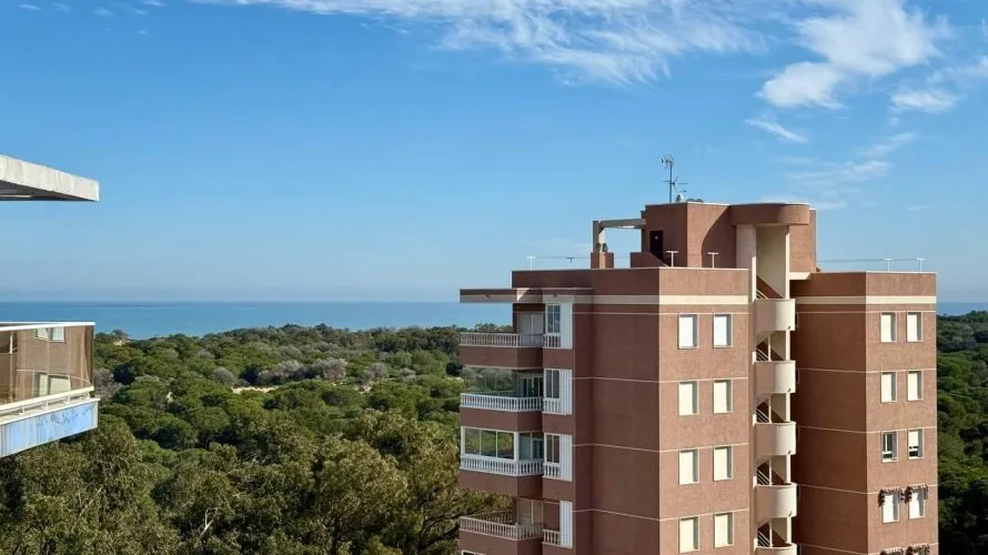 Квартира с 3 спальнями в Гуардамар-дель-Сегура, Испания №1007 № 15