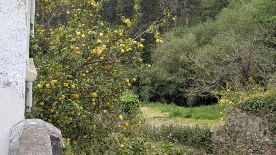 Дом 100м² в Кудильеро, Испания №2783 № 13