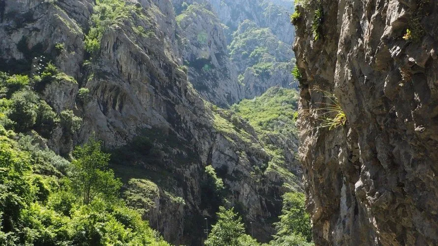 Вилла 135м² в Теверга, Испания №2765 № 4