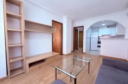 Квартира с 1 спальней в Аликанте, Испания №3126