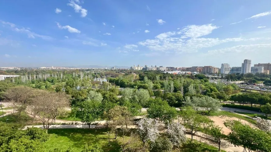 1 bedroom apartment for sale, Mislata, Spain No. 879 № 11